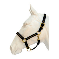 Halfter- und Führstrick-Set Flags & Cup Nossy Schwarz