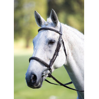 Cavesson französischer Nasenriemen Avignon Shires Schwarz