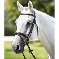 Tattini Trense mit kombiniertem, gepolstertem Nasenriemen Braun Tattini Trense mit kombiniertem, gepolstertem Nasenriemen Braun