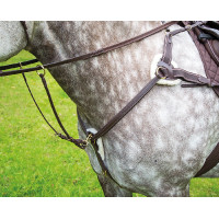 Brustblatt mit 5-Punkt-Befestigung Salisbury Shires Havanna Braun Brustblatt mit 5-Punkt-Befestigung Salisbury Shires Havanna Braun