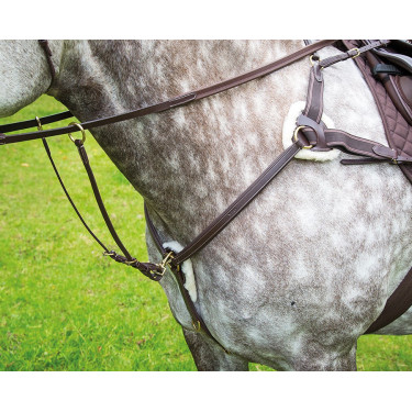 Brustblatt mit 5-Punkt-Befestigung Salisbury Shires Havanna Braun