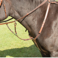 Brustblatt Avignon Shires Eiche Brustblatt Avignon Shires Eiche