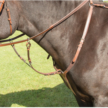 Brustblatt Avignon Shires Eiche Brustblatt Avignon Shires Eiche