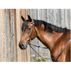 Zaumzeug T de T Essentiel Komfort Dunkles Havanna Braun Zaumzeug T de T Essentiel Komfort Dunkles Havanna Braun