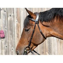 Zaumzeug T de T Essentiel Komfort Dunkles Havanna Braun Zaumzeug T de T Essentiel Komfort Dunkles Havanna Braun