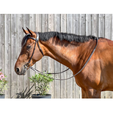 Zaumzeug T de T Essentiel Komfort Dunkles Havanna Braun Zaumzeug T de T Essentiel Komfort Dunkles Havanna Braun