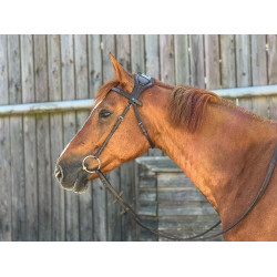 Trense T de T Essentiel mit Stirnriemen Trense T de T Essentiel mit Stirnriemen