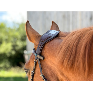 Trense T de T Essentiel mit Stirnriemen Trense T de T Essentiel mit Stirnriemen