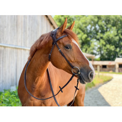 Trense T de T Essentiel mit Stirnriemen Trense T de T Essentiel mit Stirnriemen