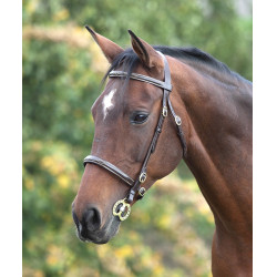 Bridon avec surpiqûres Fancy Blenheim Shires