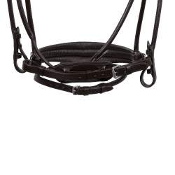 Kopfstück Iris aus Kalbsleder Acavallo Braun / braun