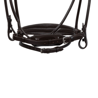 Kopfstück Iris aus Kalbsleder Acavallo Braun / braun