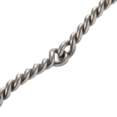 Edelstahlgebiss mit verdrehter Mundstück aus feinem Edelstahl-Draht Pool's