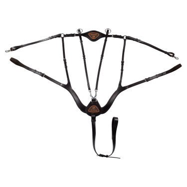 Anatomischer 5-Punkt-Brustgurt Acavallo Dunkelbraun