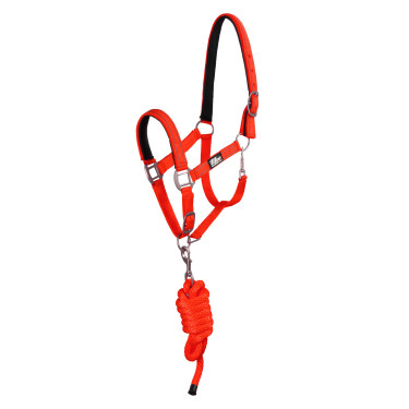 Synthetisches Halfter mit Reflective Supreme Führstrick Rot Synthetisches Halfter mit Reflective Supreme Führstrick Rot