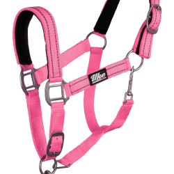 Synthetisches Halfter mit Reflective Supreme Führstrick Pink Rosa