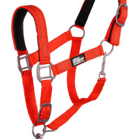 Synthetisches Halfter mit Reflective Supreme Führstrick Schwarz