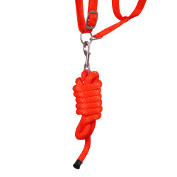 Synthetisches Halfter mit Reflective Supreme Führstrick Rot Synthetisches Halfter mit Reflective Supreme Führstrick Rot