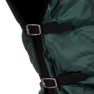 Halsabdeckung 350g für Decke Classic CO00261 Umbria Equitazione Grün Gr&uuml;n