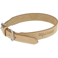 Collier cuir Diego & Louna pour chien Naturel
