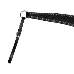 Brustblatt Basket/Spots Pool's Schwarz