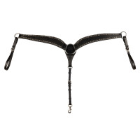 Brustblatt Basket/Spots Pool's Natürlich Braun