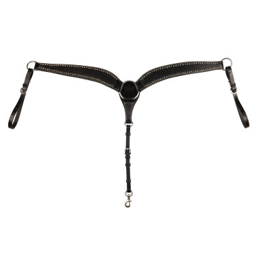 Brustblatt Basket/Spots Pool's Schwarz