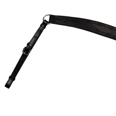 Brustblatt Barbwire Pool's