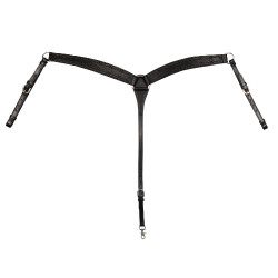 Brustblatt Barbwire Pool's