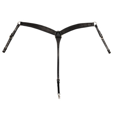 Brustblatt Barbwire Pool's