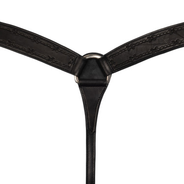 Brustblatt Barbwire Pool's