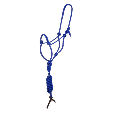 Knotenkordel-Halfter mit Führstrick Pool's Königsblau