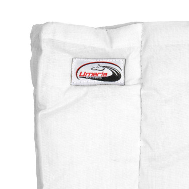 Große Baumwoll-Unterbandagen im 4er-Pack Umbria Equitazione Weiß Weiß Große Baumwoll-Unterbandagen im 4er-Pack Umbria Equitazione Weiß Weiß