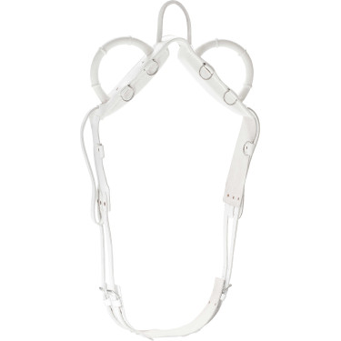 Voltigiergurt Norton Voltigiergurt Norton