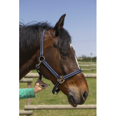 Halfter Norton Grooming Marineblau