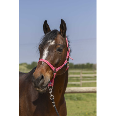 Halfter Norton Grooming Altrosa