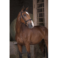 Bridon Norton Pro Kombiniert Schwarz