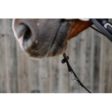 Norton Pro Thiedeman Hilfszügel