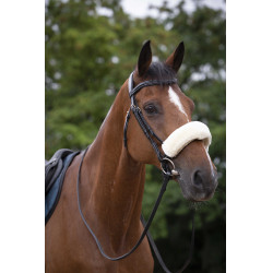 Nasenschoner Equithème Teddy
