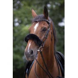 Nasenschoner Equithème Teddy Schwarz Nasenschoner Equithème Teddy Schwarz