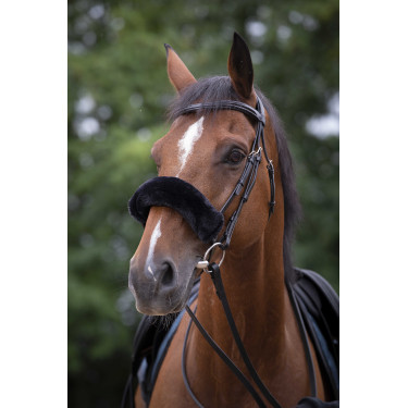 Nasenschoner Equithème Teddy Schwarz Nasenschoner Equithème Teddy Schwarz
