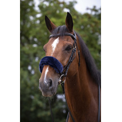 Nasenschoner Equithème Teddy Marineblau