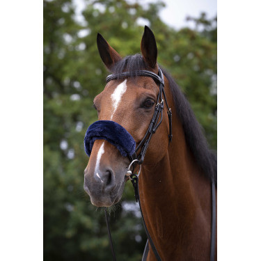 Nasenschoner Equithème Teddy Marineblau