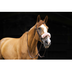 Nasenschoner Equithème Teddy Roségold Nasenschoner Equithème Teddy Roségold