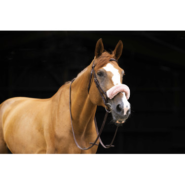 Nasenschoner Equithème Teddy Roségold Nasenschoner Equithème Teddy Roségold