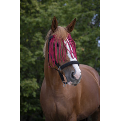 Frontal Fliegenabweiser Norton Rot Frontal Fliegenabweiser Norton Rot