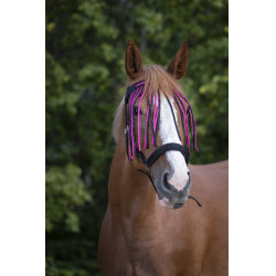 Frontal Fliegenabweiser Norton Schwarz / Himbeere