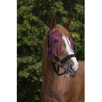 Frontal Fliegenabweiser Norton Bordeaux