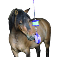 Salzleckstein-Spiel Boredom Buster Likit Violett Lila