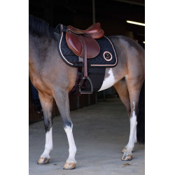 Respektband Norton Schwarz